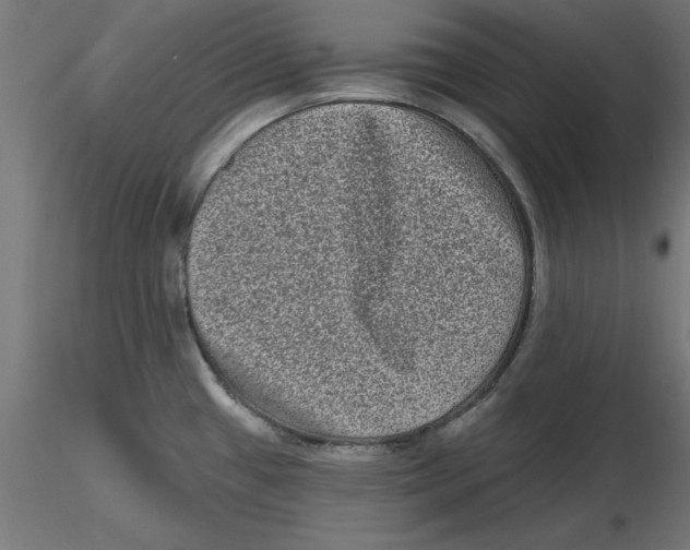 X0000116771433201001071207