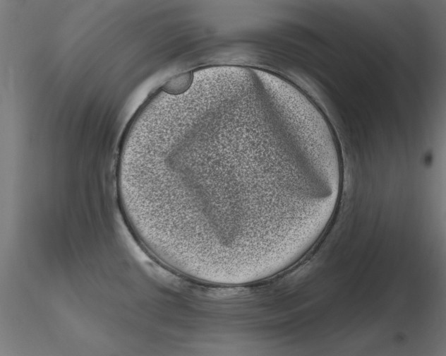 X0000116771434201001071207