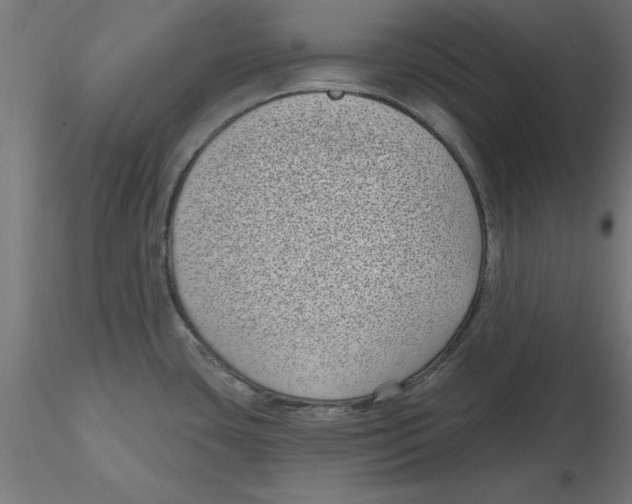 X0000116771435201001071207