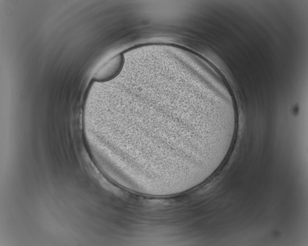 X0000116771436201001071207