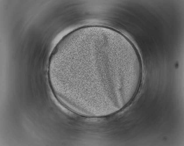 X0000116771437201001071207