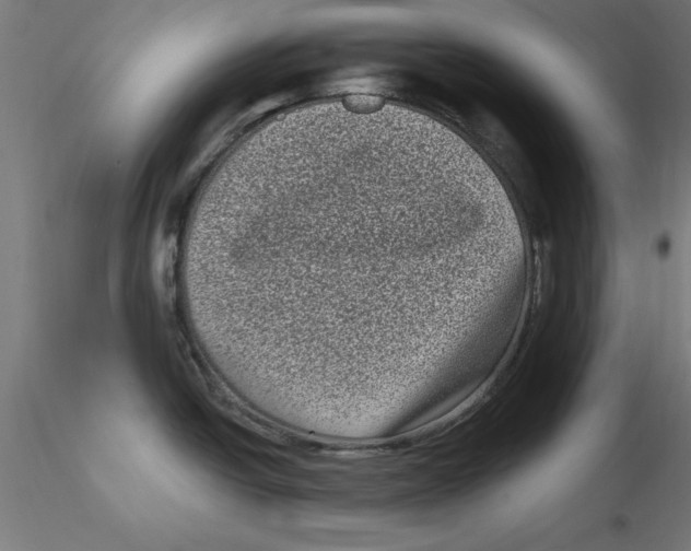 X0000116771438201001071207