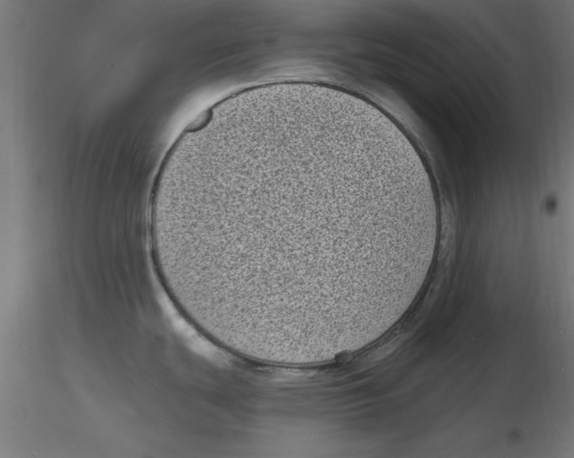 X0000116771439201001071207