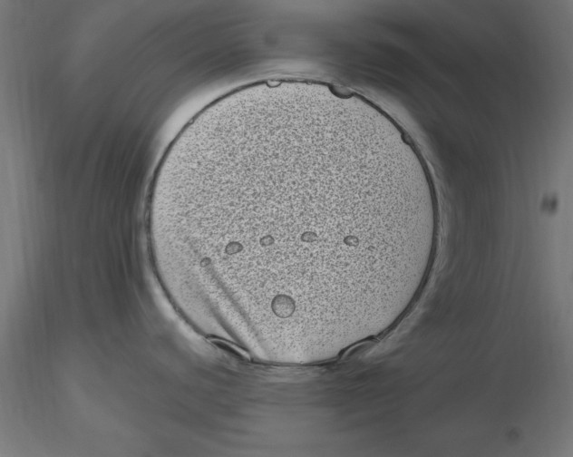 X0000116771440201001071207