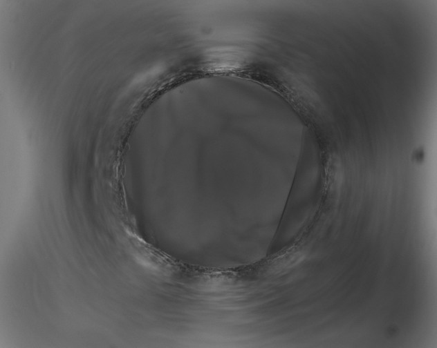 X0000116771441201001071206