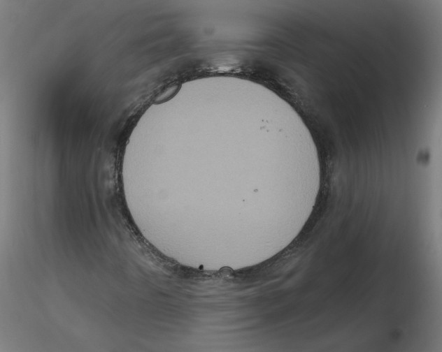 X0000116771442201001071206