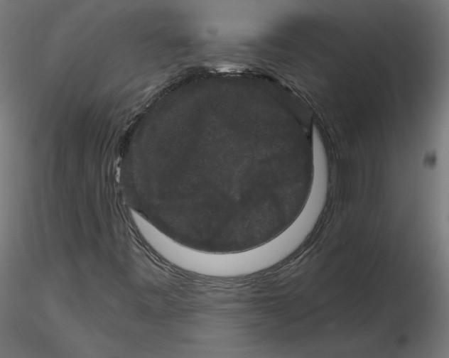 X0000116771443201001071206