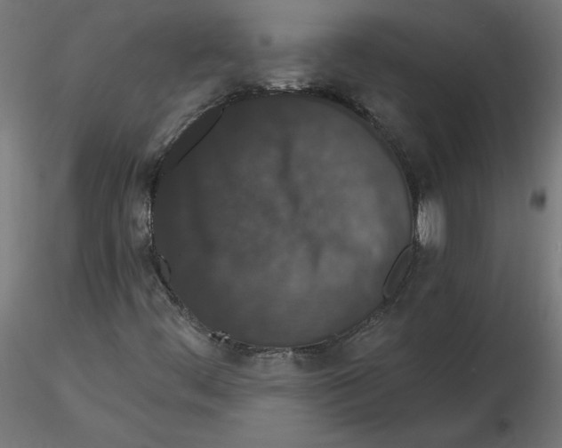 X0000116771444201001071206