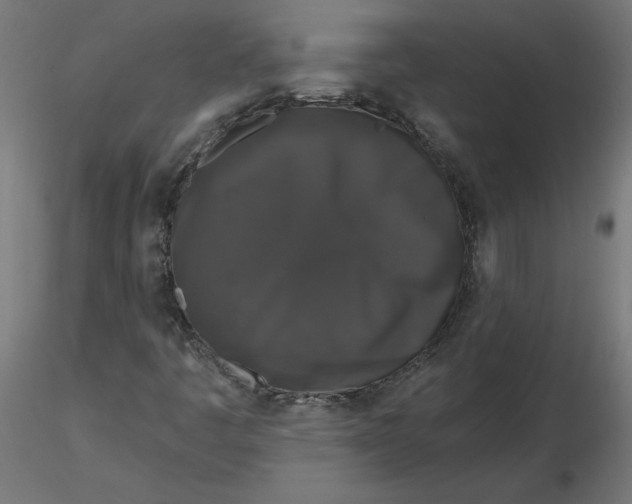 X0000116771445201001071206