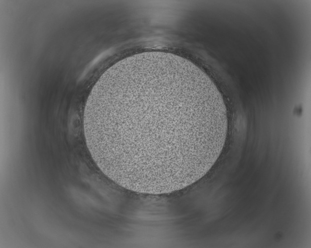 X0000116771446201001071206