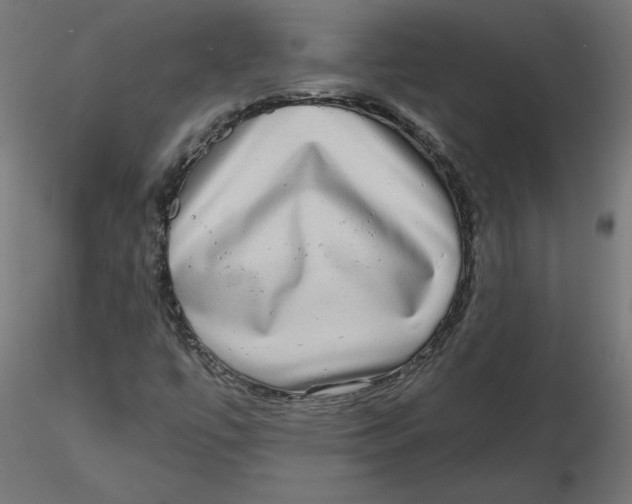 X0000116771447201001071206