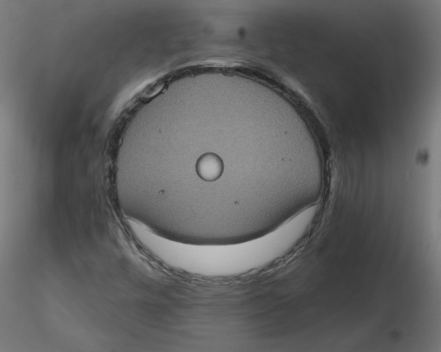 X0000116771448201001071206