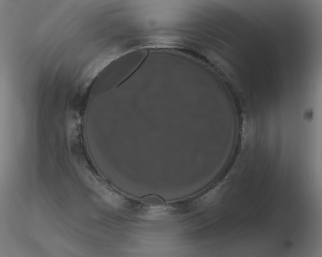 X0000116771449201001071206