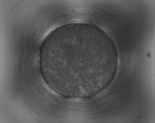 X0000116771450201001071206