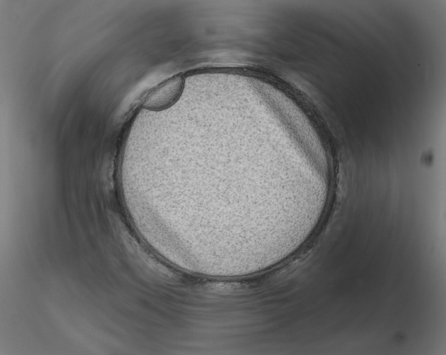 X0000116771451201001071206