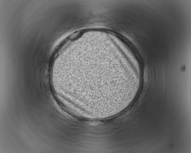 X0000116771452201001071206