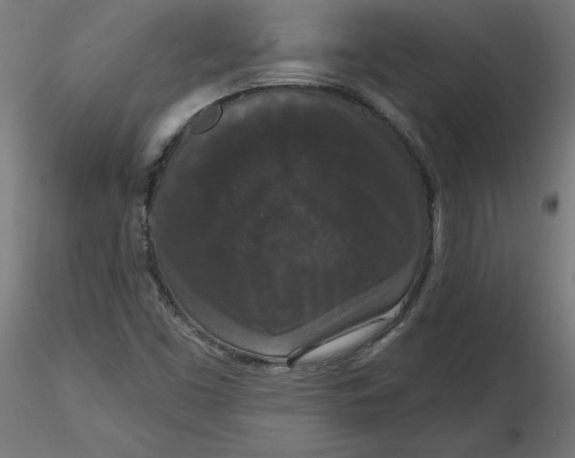 X0000116771453201001071206