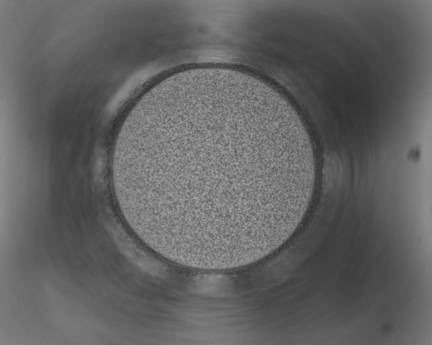 X0000116771454201001071206