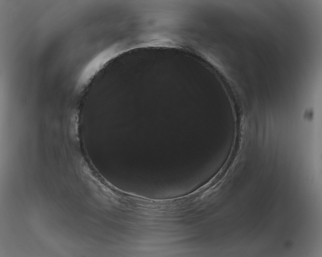 X0000116771455201001071206