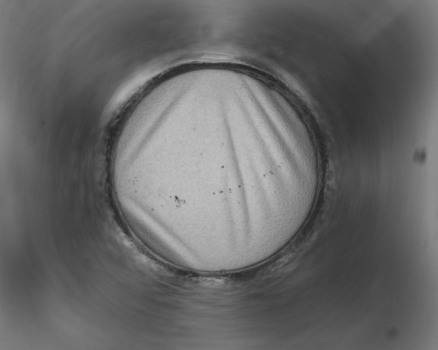 X0000116771456201001071206