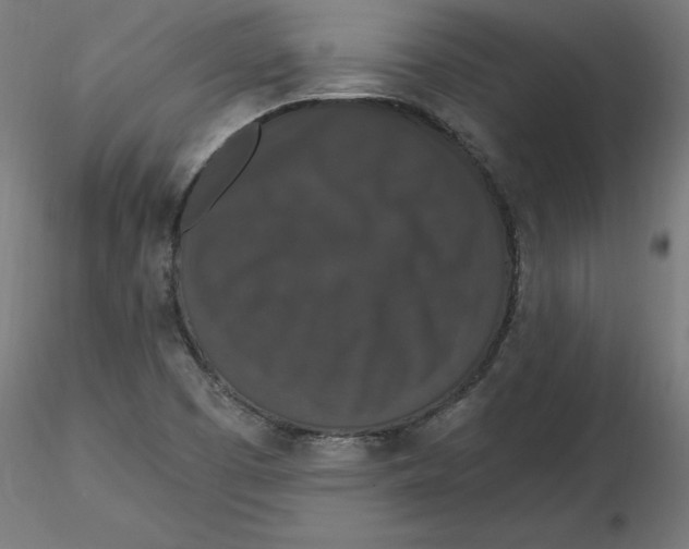 X0000116771457201001071206