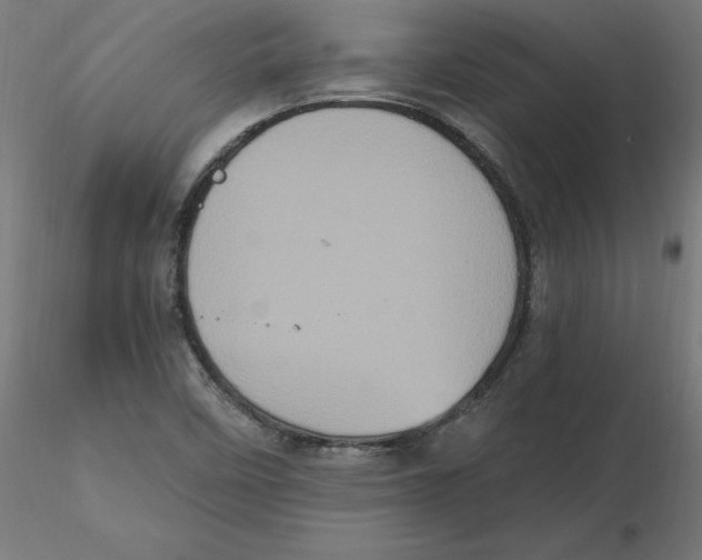 X0000116771458201001071206