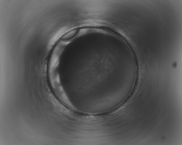 X0000116771459201001071206