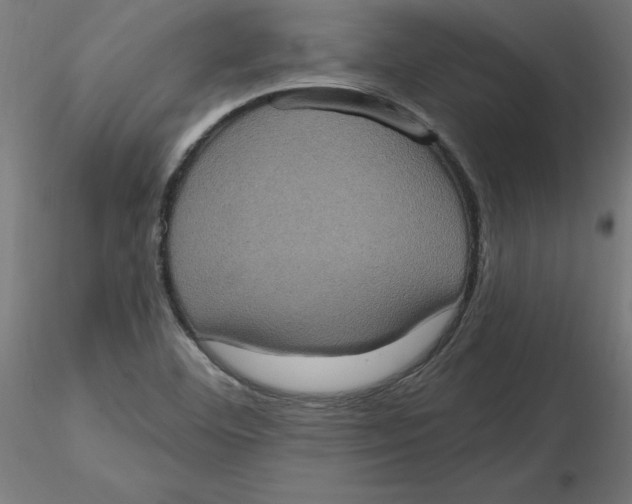 X0000116771460201001071206