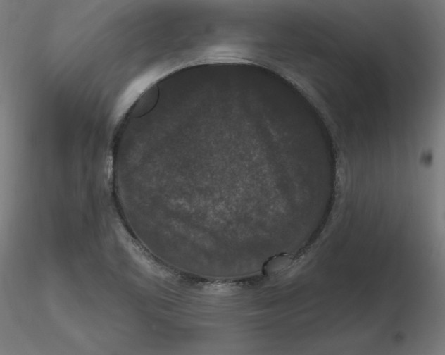 X0000116771461201001071206