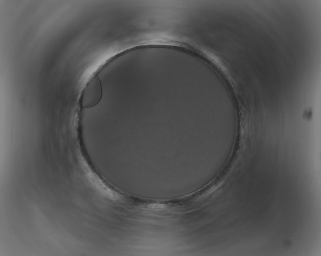 X0000116771463201001071206