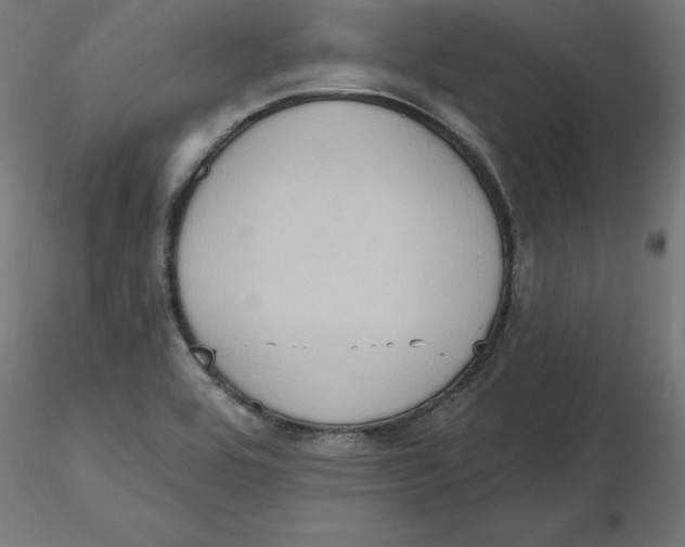 X0000116771464201001071206