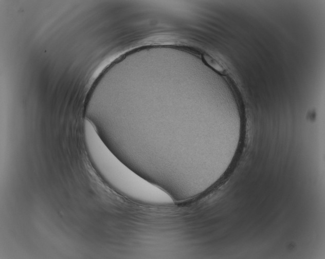 X0000116771465201001071206