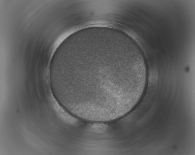 X0000116771466201001071206