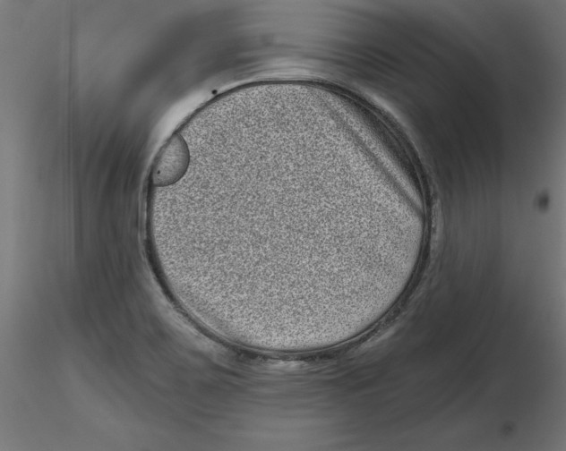 X0000116771467201001071206