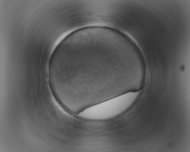 X0000116771468201001071206