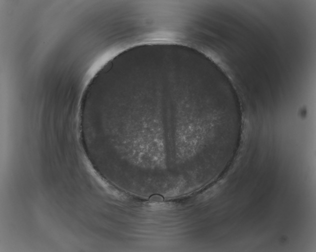 X0000116771469201001071206