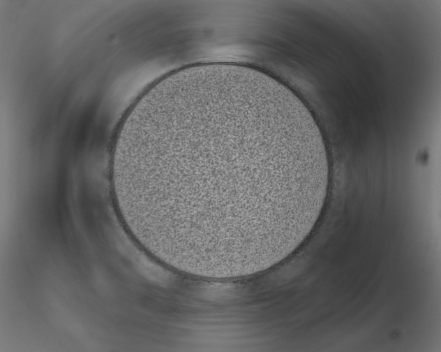 X0000116771470201001071206