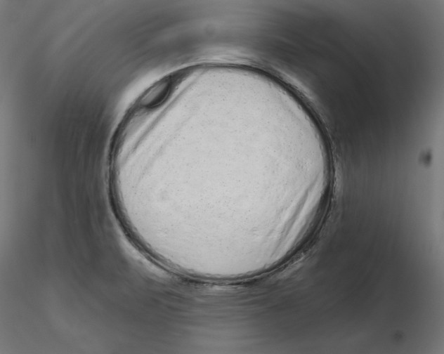 X0000116771471201001071206