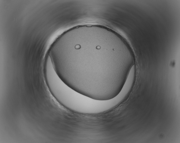 X0000116771472201001071206