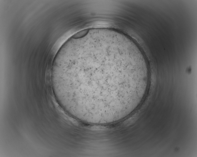 X0000116771473201001071206