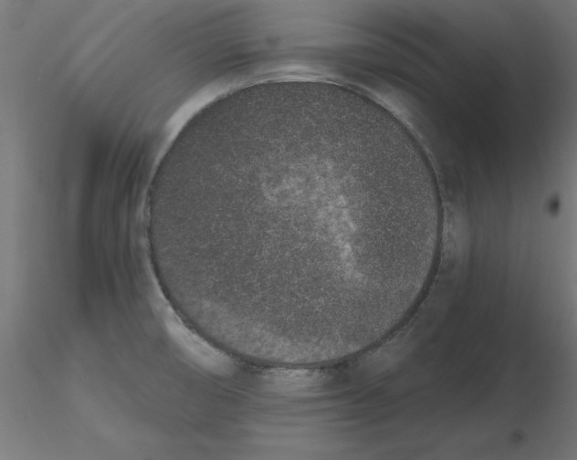 X0000116771474201001071206