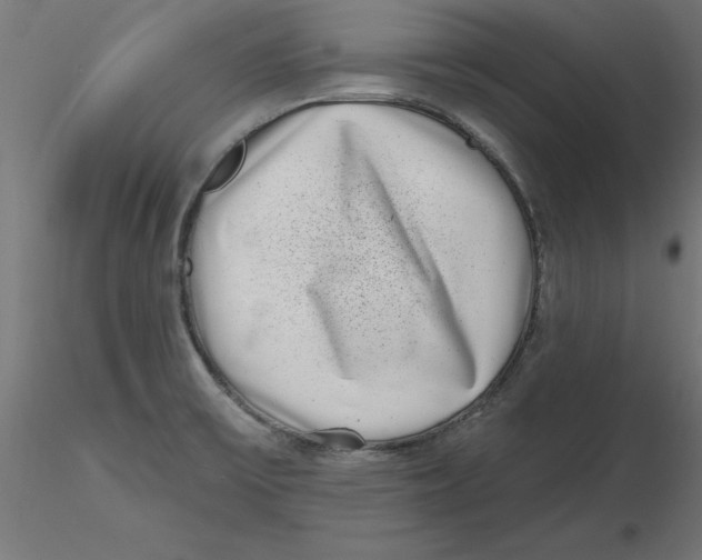 X0000116771475201001071206