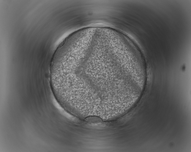 X0000116771476201001071206