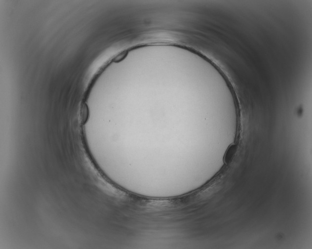 X0000116771477201001071206