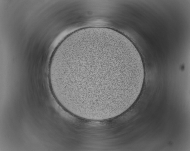 X0000116771478201001071206