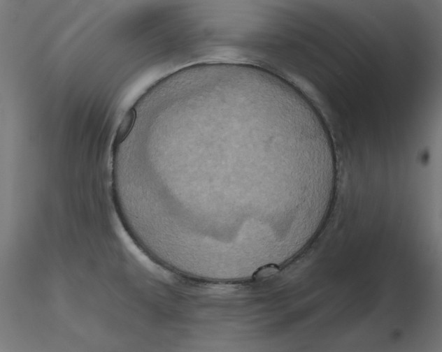 X0000116771479201001071206