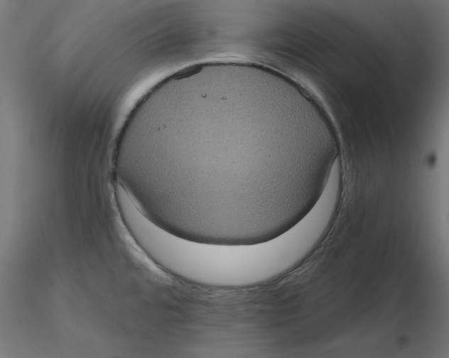 X0000116771480201001071206