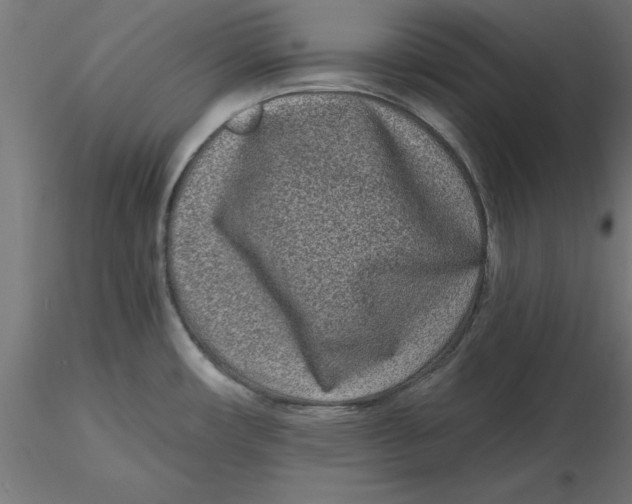 X0000116771482201001071206