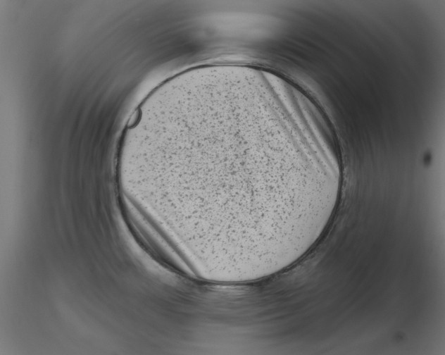 X0000116771483201001071206