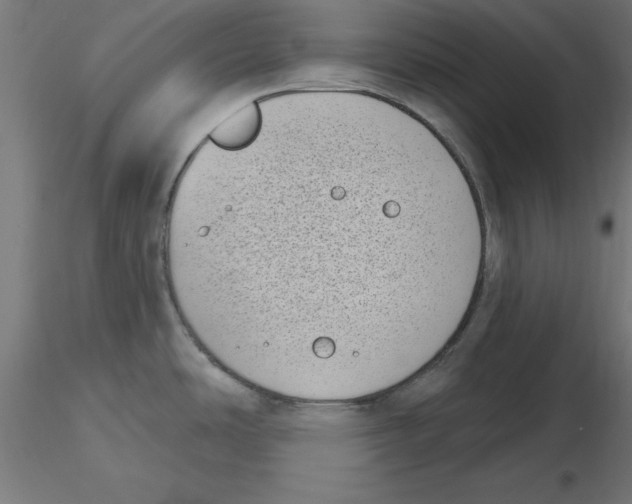 X0000116771486201001071206